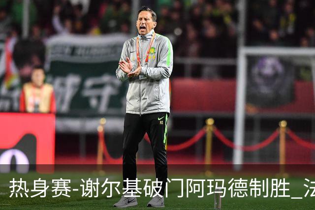热身赛-谢尔基破门阿玛德制胜 法国1-2遭科特迪瓦逆转